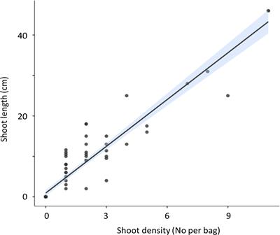 Nutrient additions to seagrass seed planting improve seedling emergence and growth
